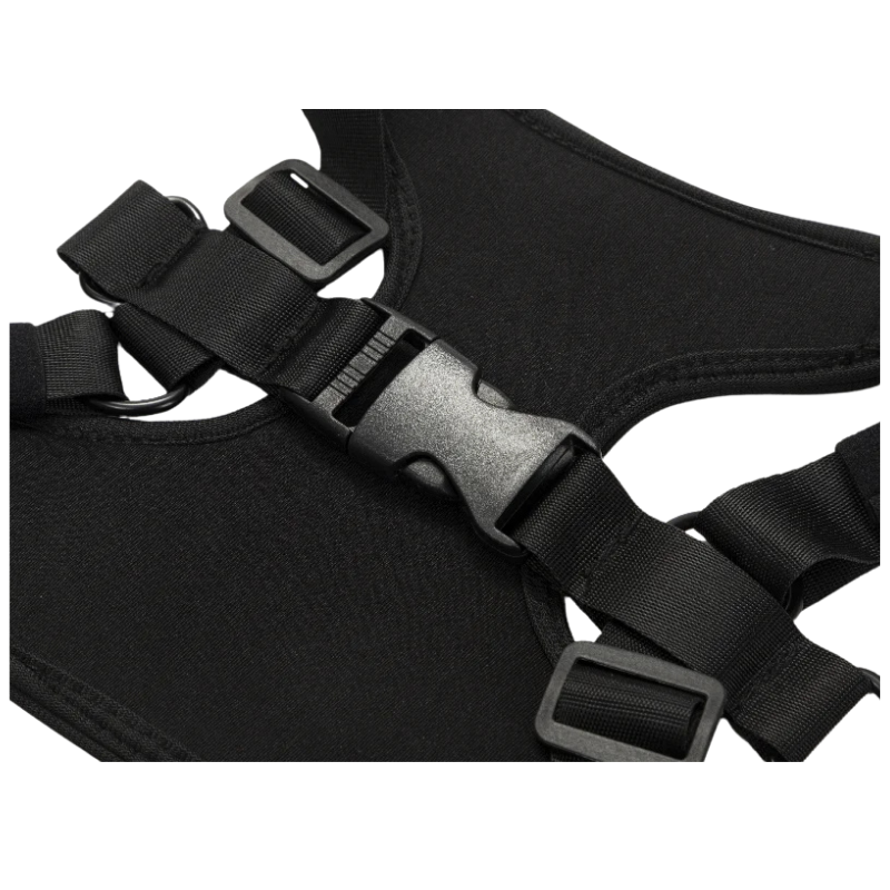 Customized Pet Harness