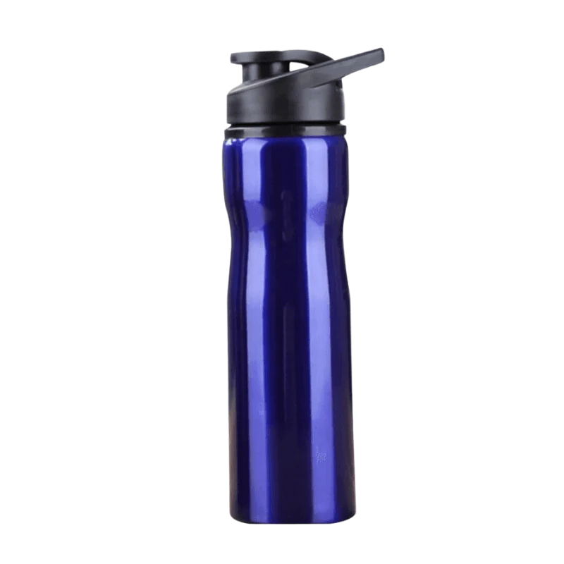 High Grade Stainless Steel Bottle (Blue)