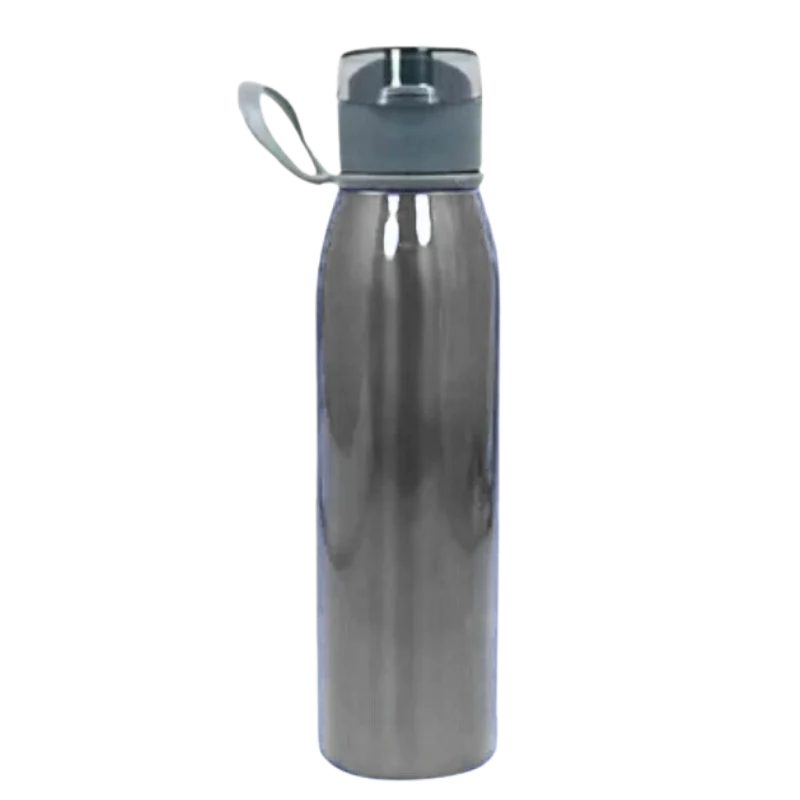 Stainless Steel Bottle With Handle (Grey)