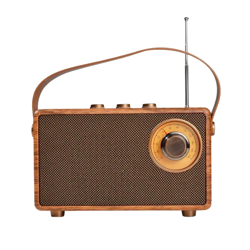 Wireless wooden FM radio