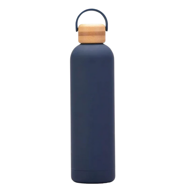 304 Vacuum Hot & Cold Bottle With Handle