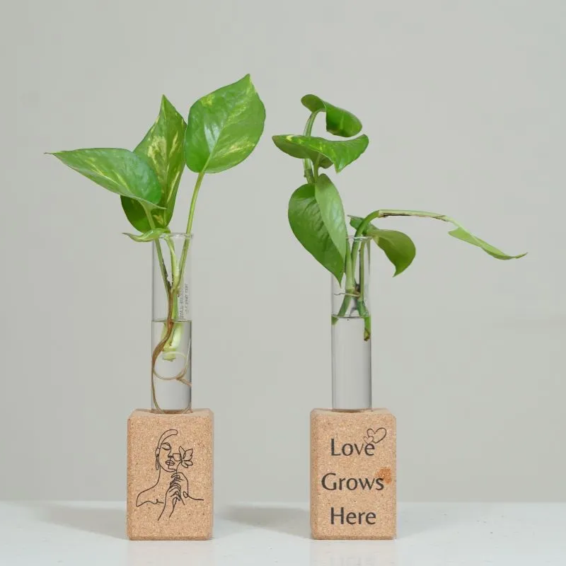 EcoScript Essentials