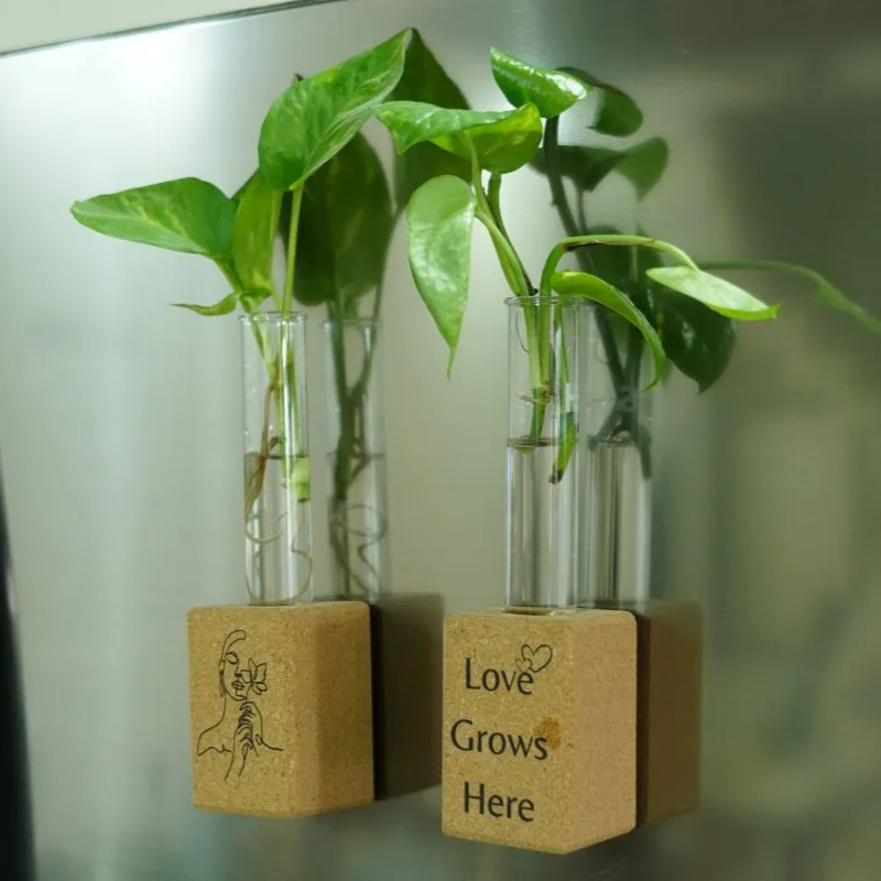 EcoHarmony Office Essentials