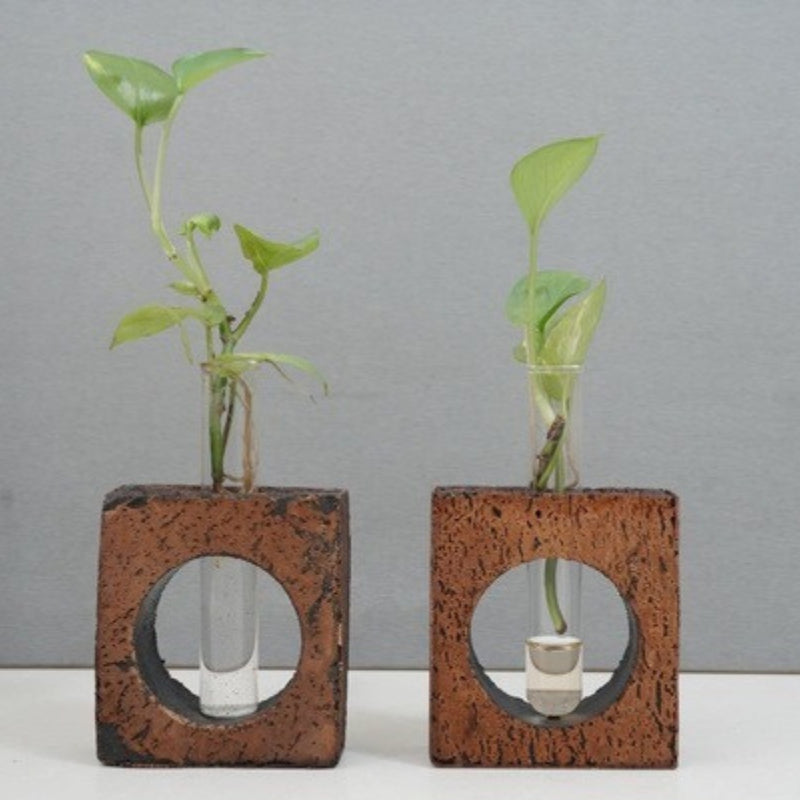 Cork Table Top Planter
