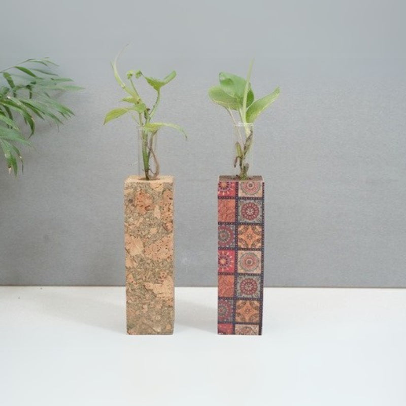 TerraBloom Cork Planter