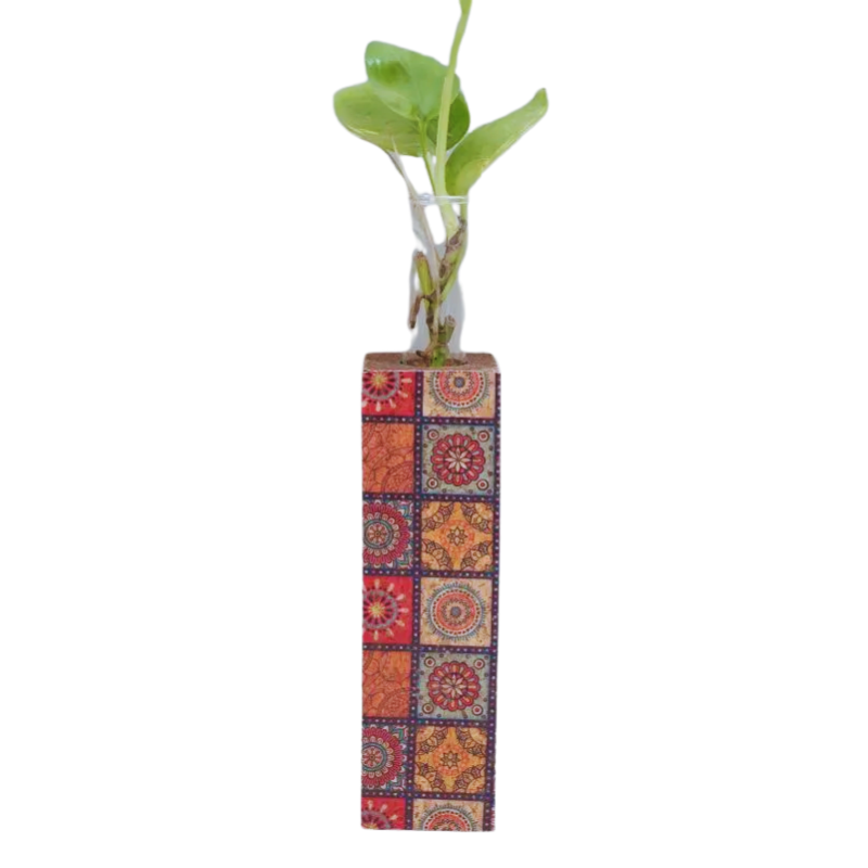 Elegant Cork Decor Set