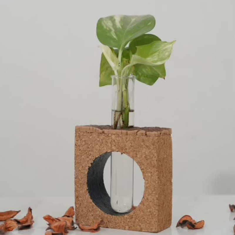 Natural Cork Essence Set