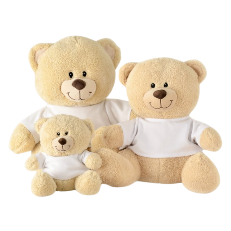 Customized Teddy Doll