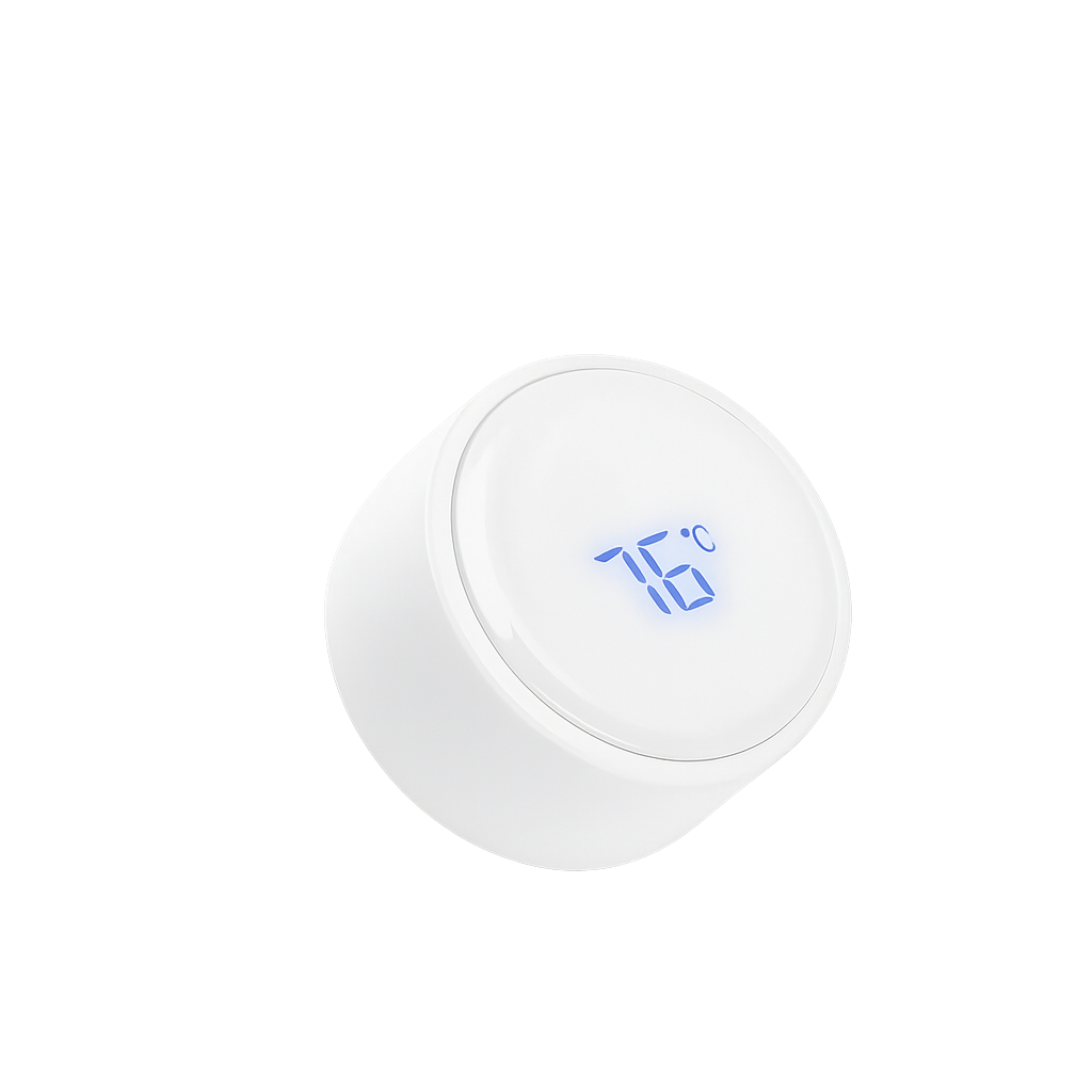 Temperature Display Bottle