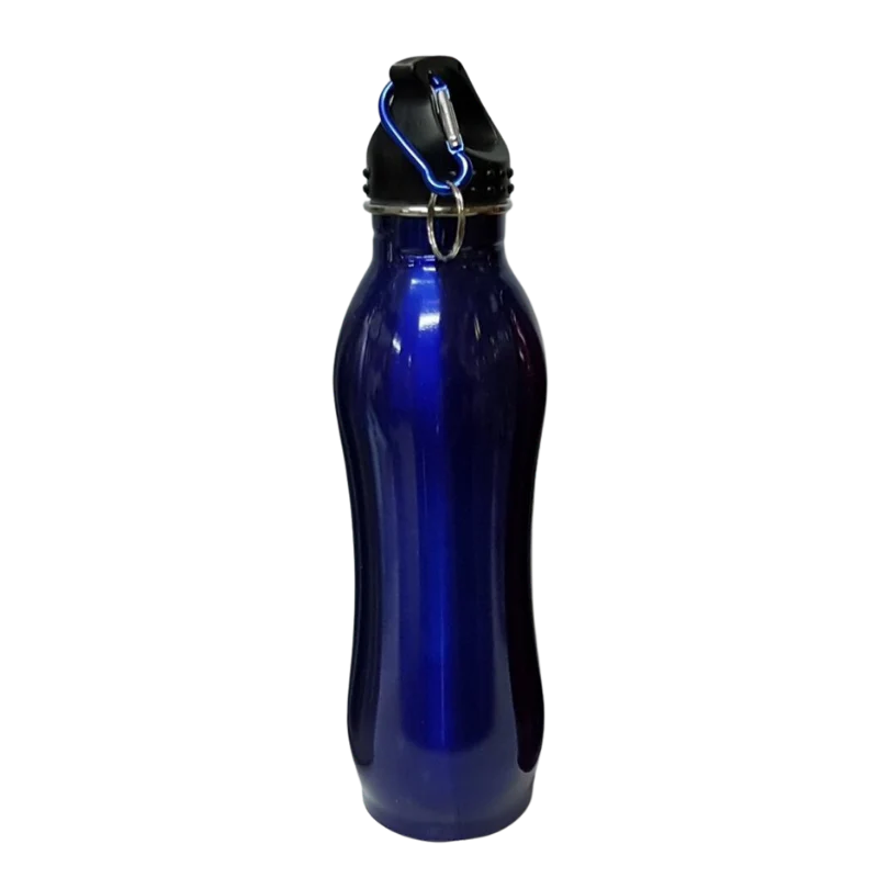 Stainless Steel Sports Water Bottle(Blue)