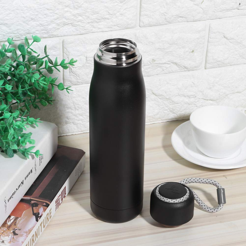 Desktop Flow Steel Hydration Bottle (Black)