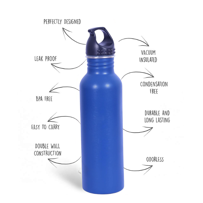 Robust Steel Water Bottle With Break Proof And Leak Proof (Blue)