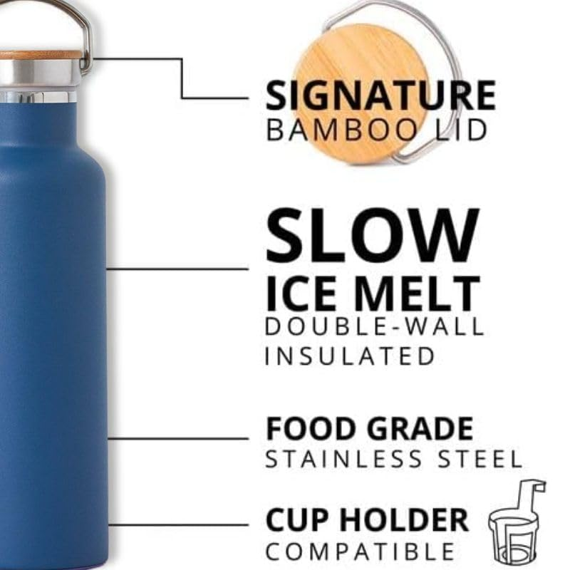 DeskMate Steel Bottle (Blue)