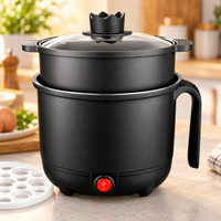 Multi Kettle with lid, front view